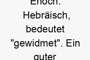 enoch hebraeisch bedeutet gewidmet ein guter name fuer einen loyalen hund 18736