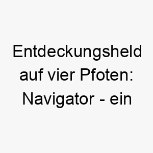 entdeckungsheld auf vier pfoten navigator ein kraftvoller name fuer abenteuerlustige hunde 23218