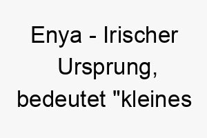 enya irischer ursprung bedeutet kleines feuer bedeutung als hundename fuer einen leidenschaftlichen energischen hund 13987