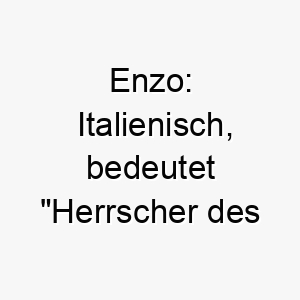 enzo italienisch bedeutet herrscher des hauses ein passender name fuer einen dominanten fuehrungsstarken hund 18880