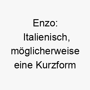 enzo italienisch moeglicherweise eine kurzform von lorenzo und vincenzo bedeutet herrscher des haushalts ein geeigneter name fuer einen fuehrenden hund 18745