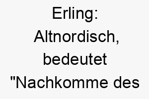 erling altnordisch bedeutet nachkomme des haeuptlings ein passender name fuer einen hund mit fuehrungsqualitaeten 18729