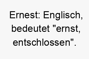 ernest englisch bedeutet ernst entschlossen ein guter name fuer einen ernsthaften fokussierten hund 18882