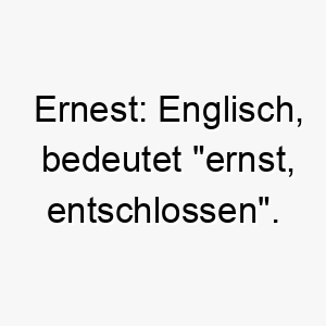 ernest englisch bedeutet ernst entschlossen ein guter name fuer einen ernsthaften zielgerichteten hund 18707