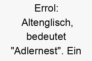 errol altenglisch bedeutet adlernest ein guter name fuer einen schuetzenden und fuersorglichen hund 18732