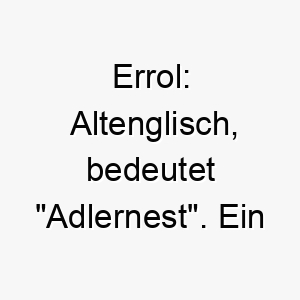 errol altenglisch bedeutet adlernest ein guter name fuer einen schuetzenden und fuersorglichen hund 18732