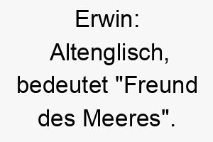 erwin altenglisch bedeutet freund des meeres ein guter name fuer einen hund der wasser liebt 18721