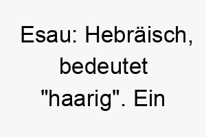 esau hebraeisch bedeutet haarig ein geeigneter name fuer einen flauschigen oder haarigen hund 18841