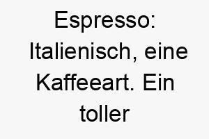 espresso italienisch eine kaffeeart ein toller name fuer einen energischen lebhaften hund 18889