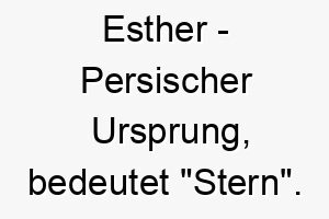 esther persischer ursprung bedeutet stern bedeutung als hundename fuer einen hellen strahlenden hund 13992