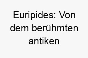 euripides von dem beruehmten antiken griechischen dramatiker ein guter name fuer einen dramatischen oder theatralischen hund 18748