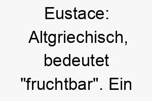 eustace altgriechisch bedeutet fruchtbar ein passender name fuer einen produktiven oder energetischen hund 18850