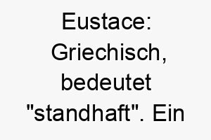 eustace griechisch bedeutet standhaft ein wunderbarer name fuer einen mutigen und zuverlaessigen hund 18724