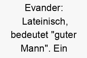 evander lateinisch bedeutet guter mann ein guter name fuer einen freundlichen und liebenswerten hund 18711