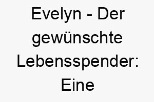 evelyn der gewuenschte lebensspender eine begehrenswerte namenswahl fuer ihren treuen hund 13940