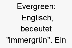 evergreen englisch bedeutet immergruen ein passender name fuer einen hund mit einem immer froehlichen und lebendigen charakter 18884