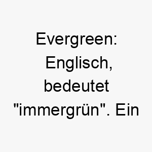 evergreen englisch bedeutet immergruen ein passender name fuer einen hund mit einem immer froehlichen und lebendigen charakter 18884