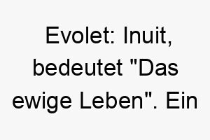 evolet inuit bedeutet das ewige leben ein schoener name fuer einen hund dessen liebe und loyalitaet ewig sind 19025