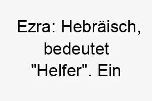 ezra hebraeisch bedeutet helfer ein passender name fuer einen helfenden oder diensthund 18709