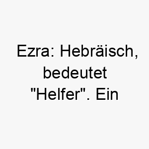 ezra hebraeisch bedeutet helfer ein passender name fuer einen helfenden oder diensthund 18709