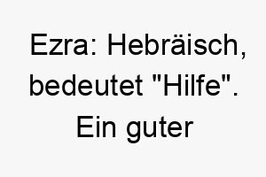 ezra hebraeisch bedeutet hilfe ein guter name fuer einen diensthund oder einen hund der gerne hilft 18845