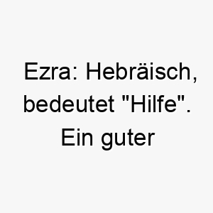 ezra hebraeisch bedeutet hilfe ein guter name fuer einen diensthund oder einen hund der gerne hilft 18845