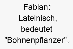 fabian lateinisch bedeutet bohnenpflanzer ein toller name fuer einen hund der gerne graebt oder im garten spielt 19105