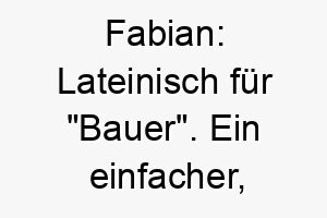 fabian lateinisch fuer bauer ein einfacher starker name der zu einem fleissigen oder treuen hund passen koennte 19425