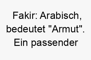 fakir arabisch bedeutet armut ein passender name fuer einen hund der aus armen verhaeltnissen gerettet wurde oder der dem leben gegenueber sehr demuetig ist 19165