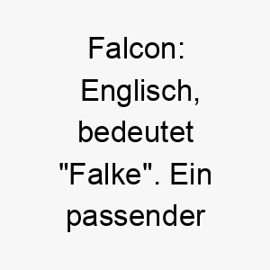 falcon englisch bedeutet falke ein passender name fuer einen hund mit scharfen instinkten oder einem scharfen verstand 19158