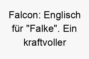 falcon englisch fuer falke ein kraftvoller name der zu einem schnellen oder agilen hund passt 19403