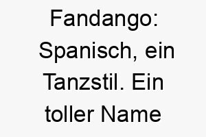 fandango spanisch ein tanzstil ein toller name fuer einen lebhaften und energiegeladenen hund 19133