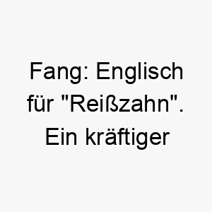 fang englisch fuer reisszahn ein kraeftiger name der zu einem tapferen oder beschuetzenden hund passt 19410