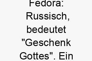 fedora russisch bedeutet geschenk gottes ein wunderschoener name fuer einen hund den sie als ein besonderes geschenk betrachten 19388