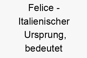 felice italienischer ursprung bedeutet gluecklich bedeutung als hundename fuer einen froehlichen gluecklichen hund 14316