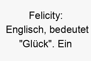 felicity englisch bedeutet glueck ein passender name fuer einen hund der glueck und freude in ihr leben bringt 19186