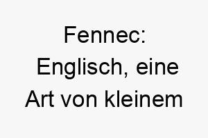 fennec englisch eine art von kleinem wuestenfuchs ein toller name fuer einen kleinen schnellen hund 19124