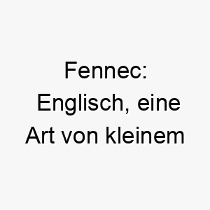 fennec englisch eine art von kleinem wuestenfuchs ein toller name fuer einen kleinen schnellen hund 19124