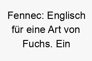 fennec englisch fuer eine art von fuchs ein wilder name fuer einen schlauen oder listigen hund 19455