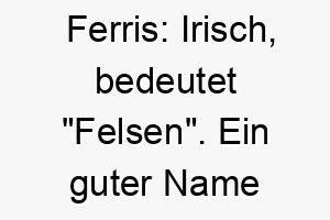 ferris irisch bedeutet felsen ein guter name fuer einen starken und zuverlaessigen hund 19154