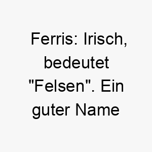 ferris irisch bedeutet felsen ein guter name fuer einen starken und zuverlaessigen hund 19154