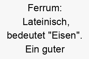 ferrum lateinisch bedeutet eisen ein guter name fuer einen starken und robusten hund 19164