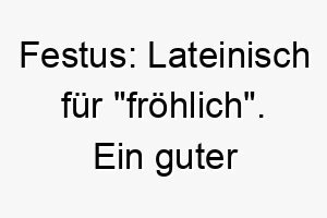 festus lateinisch fuer froehlich ein guter name fuer einen immer gluecklichen und verspielten hund 19402