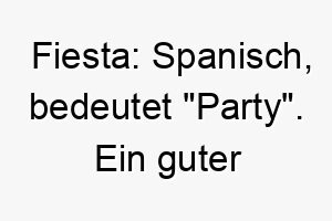 fiesta spanisch bedeutet party ein guter name fuer einen hund der immer in der stimmung fuer spass und spiele ist 19180