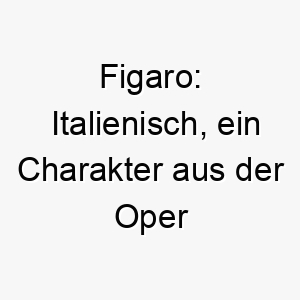 figaro italienisch ein charakter aus der oper der barbier von sevilla ein melodischer name ideal fuer einen geselligen oder unterhaltsamen hund 19419