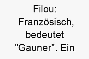 filou franzoesisch bedeutet gauner ein passender name fuer einen schlauen oder ein bisschen frechen hund 19169