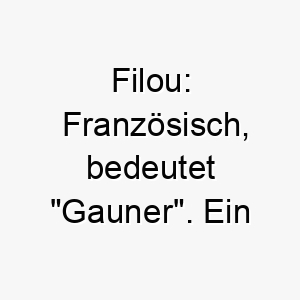 filou franzoesisch bedeutet gauner ein passender name fuer einen schlauen oder ein bisschen frechen hund 19169