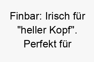 finbar irisch fuer heller kopf perfekt fuer einen schlauen oder aufgeweckten hund 19428