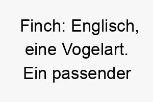 finch englisch eine vogelart ein passender name fuer einen kleinen zierlichen hund 19092