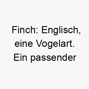 finch englisch eine vogelart ein passender name fuer einen kleinen zierlichen hund 19092